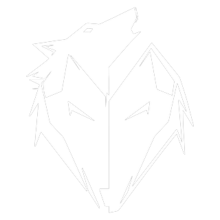 Ekkovision