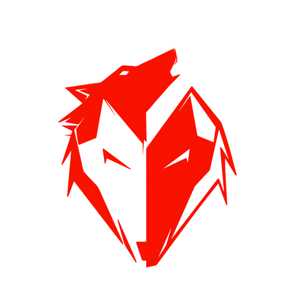 Ekkovision