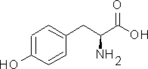 A Comprehensive Supplement Review: Are Pre-Workout Supplements Worth the Hype? L-Tyrosine