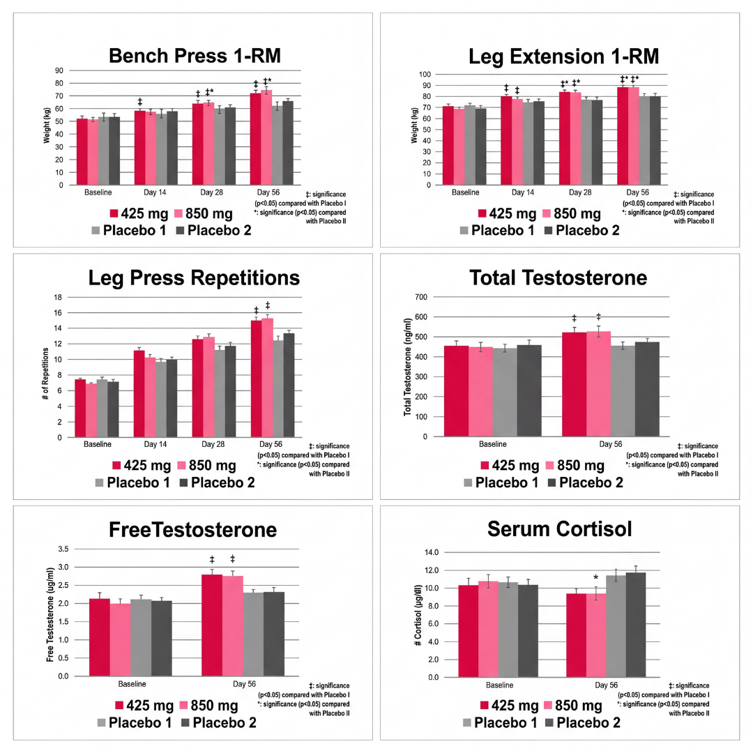 RipFACTOR Stats And Graphs