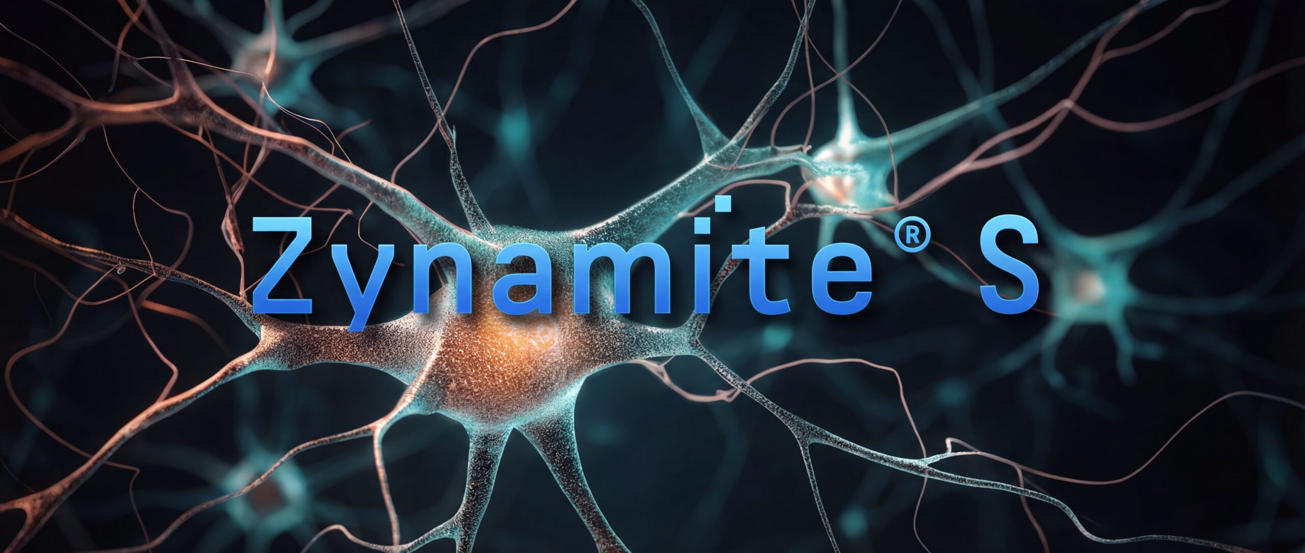Zynamite S Logo