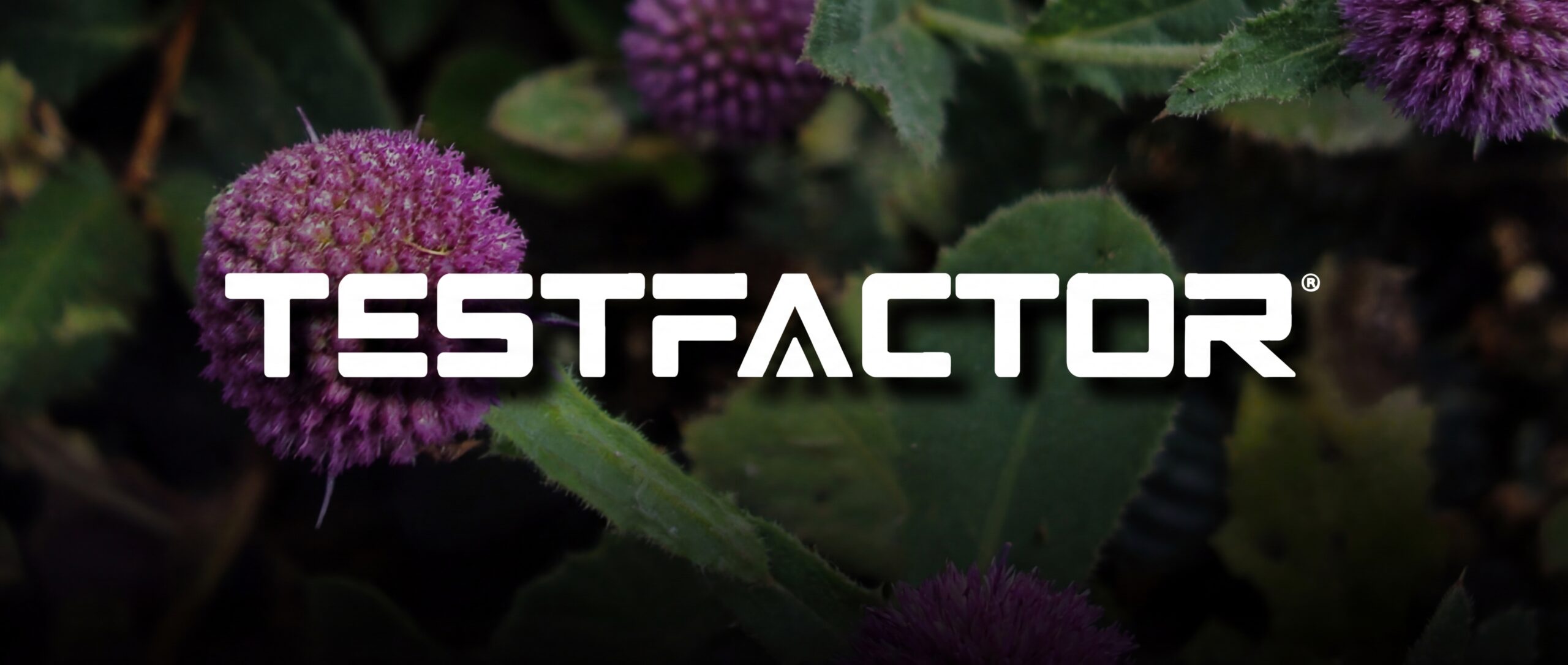 TestFACTOR Logo