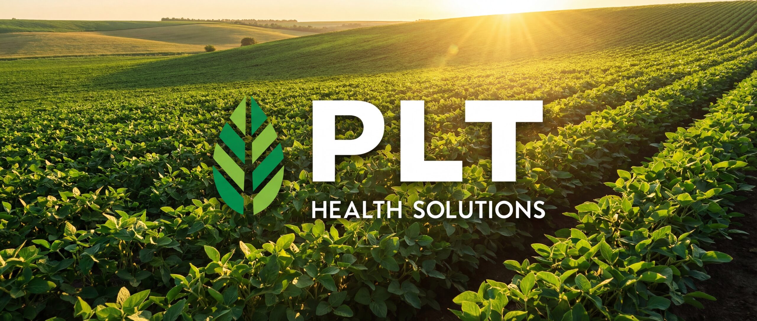 PLT Health Solutions Logo
